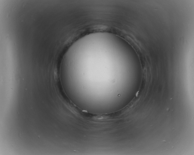 X0000112140564200908141156