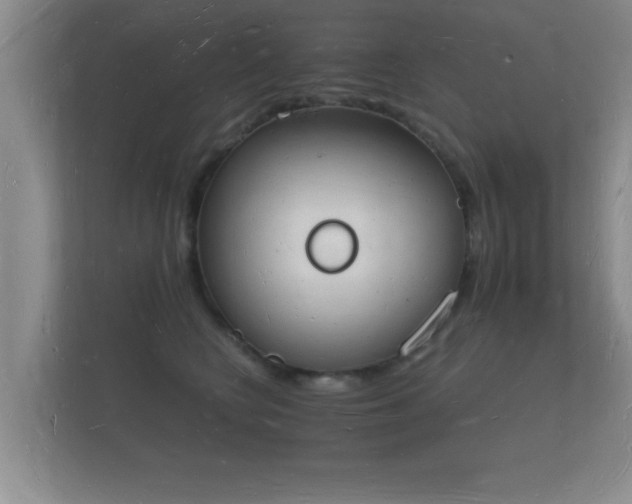 X0000112140566200908141156