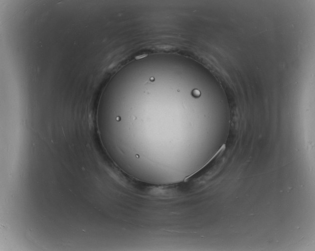 X0000112140568200908141156