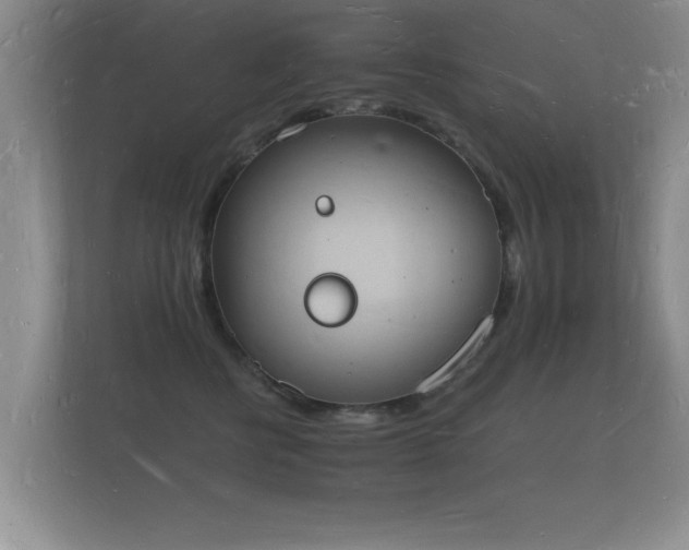 X0000112140570200908141156