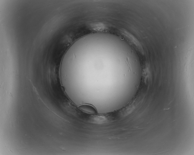 X0000112140572200908141156