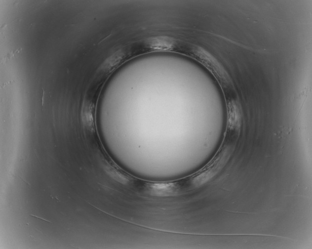 X0000112140573200908141156