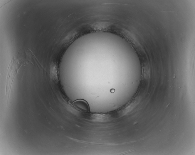 X0000112140575200908141156