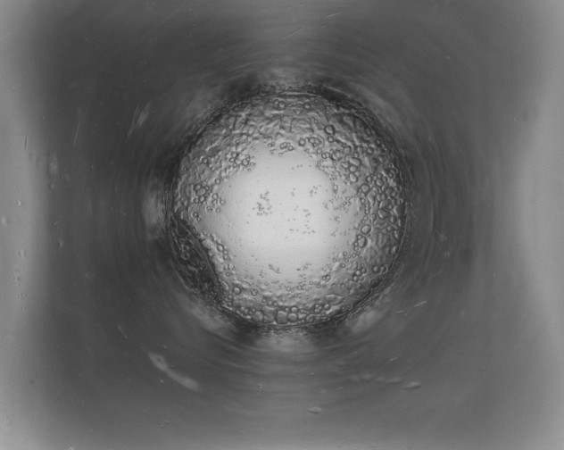 X0000112140576200908141156