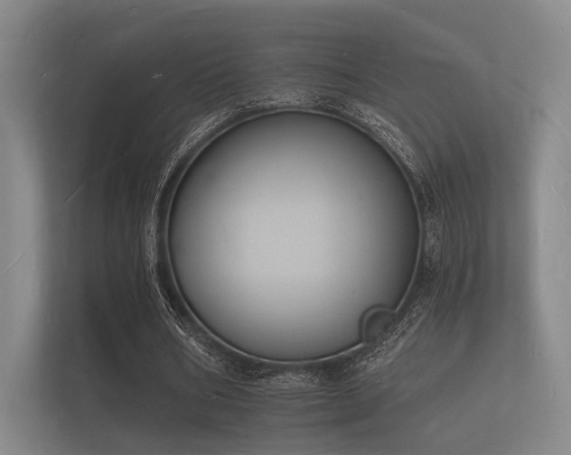 X0000112140578200908141156