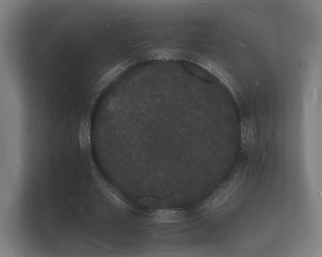 X0000112140581200908141156