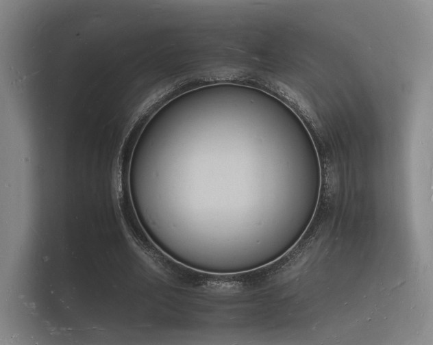 X0000112140582200908141156