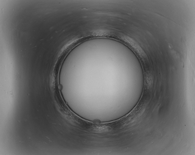 X0000112140583200908141156