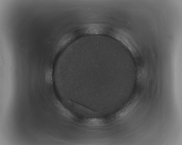 X0000112140585200908141156