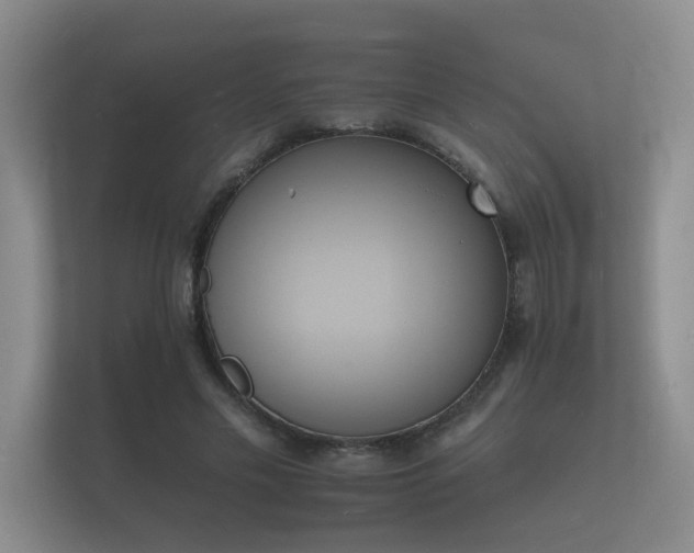 X0000112140589200908141156