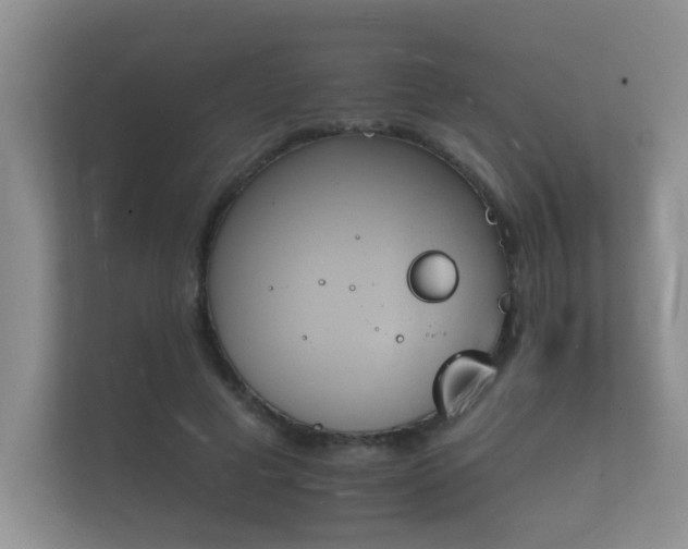 X0000112140593200908141156