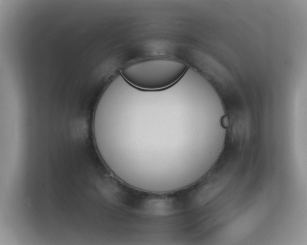 X0000112140595200908141156