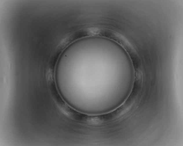 X0000112140598200908141156