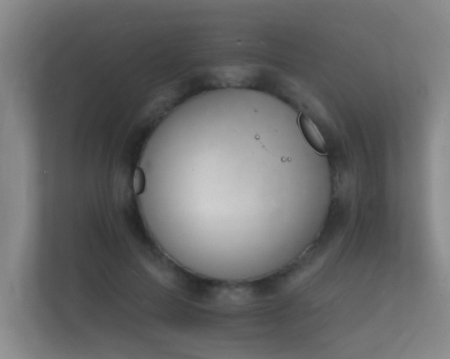 X0000112140599200908141155