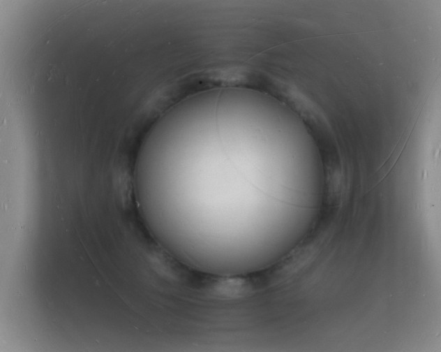 X0000112140609200908141155