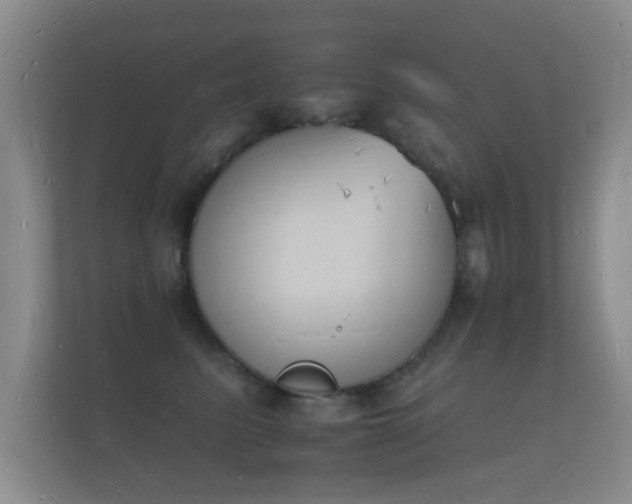 X0000112140615200908141155