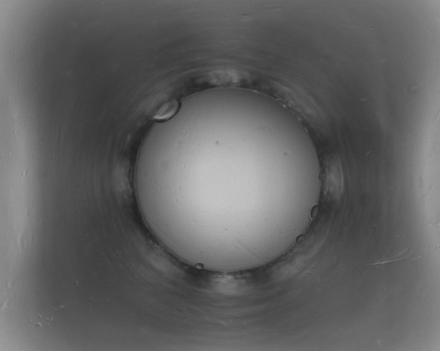 X0000112140616200908141155