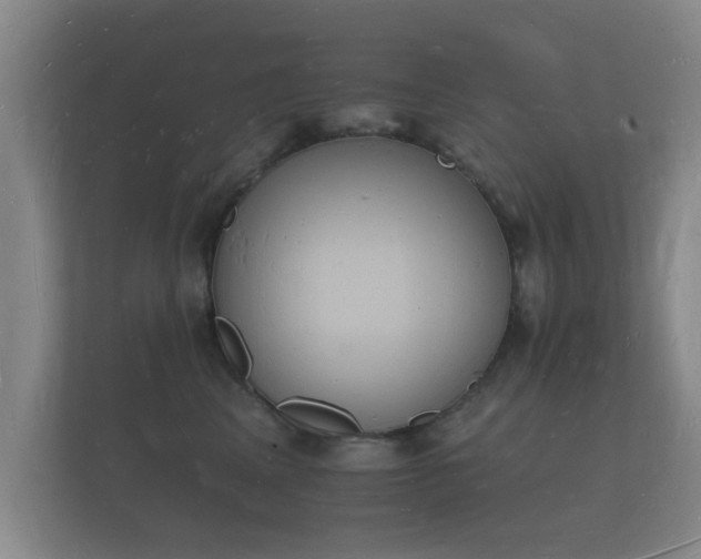 X0000112140617200908141155