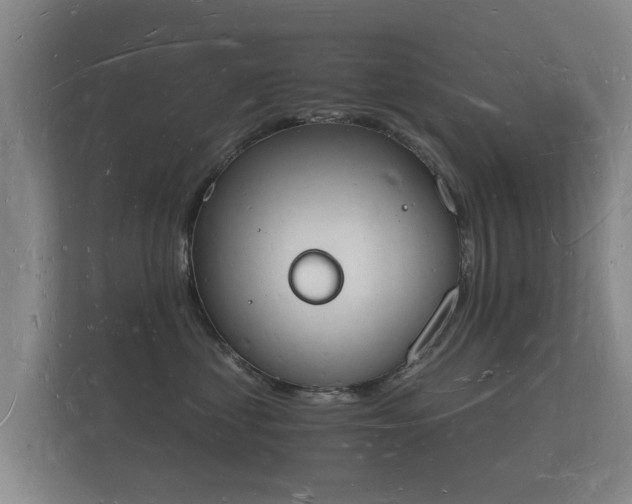 X0000112140621200908141155