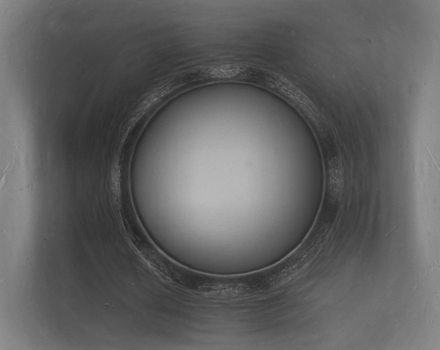 X0000112140626200908141155