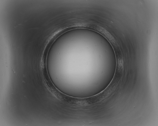 X0000112140628200908141155