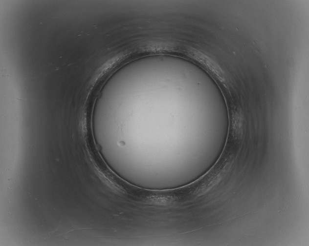 X0000112140629200908141155