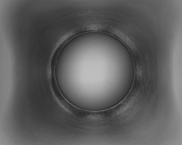 X0000112140630200908141155