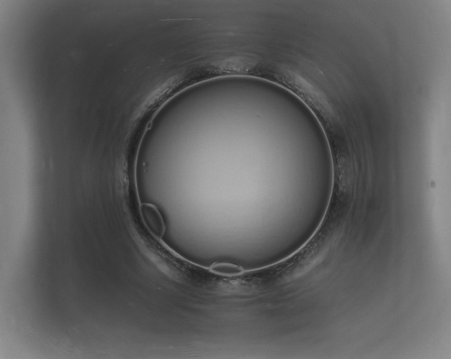 X0000112140634200908141155