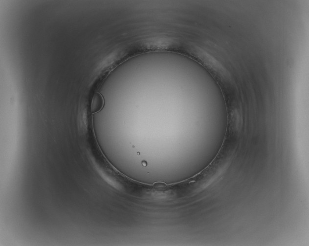 X0000112140638200908141155