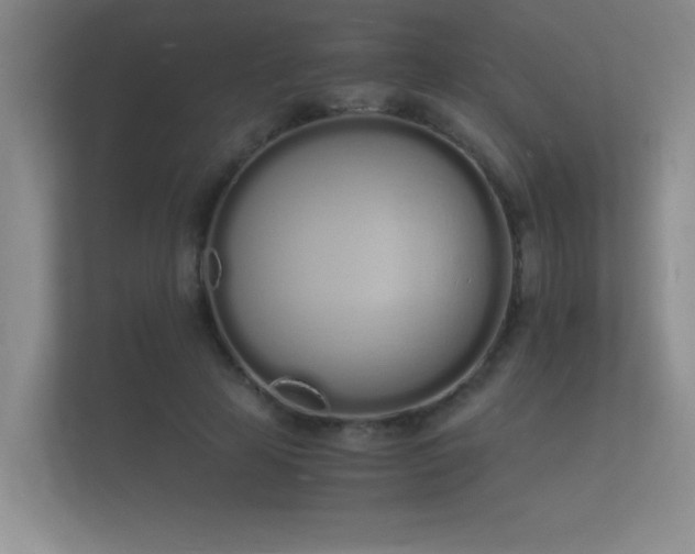 X0000112140641200908141155