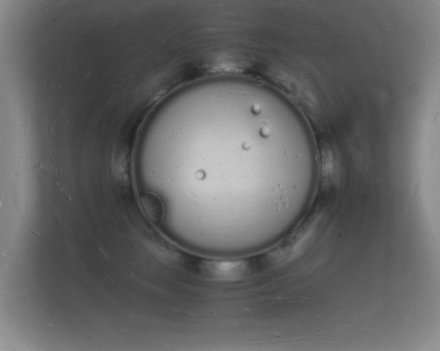 X0000112140663200908141155