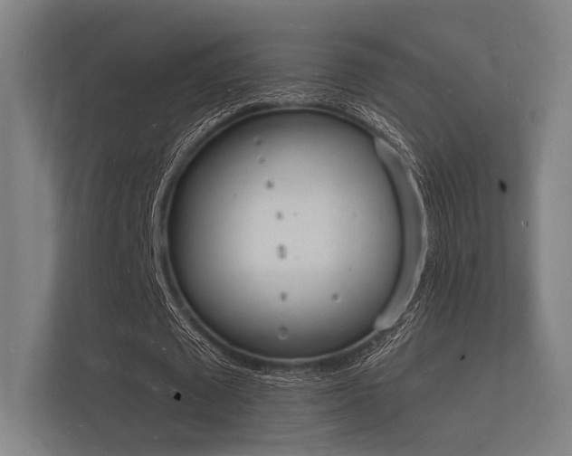 X0000112140673200908141155