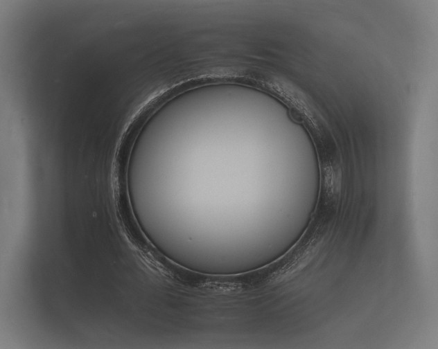 X0000112140676200908141155