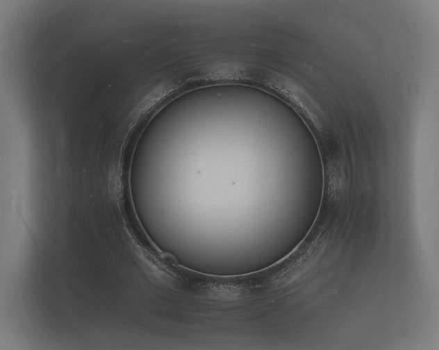 X0000112140677200908141154