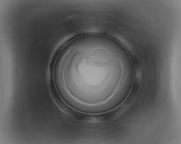 X0000112140678200908141154