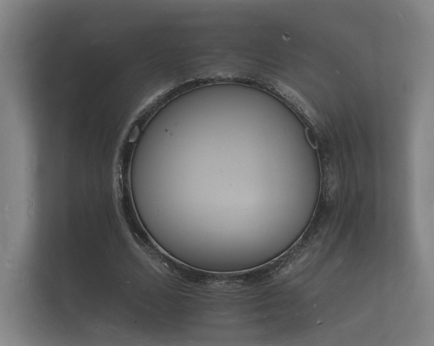 X0000112140680200908141154