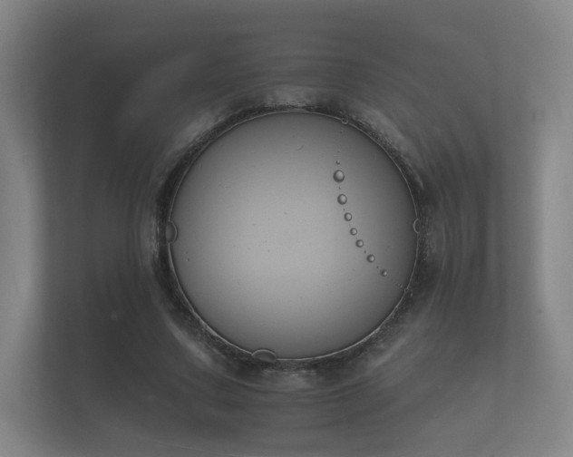 X0000112140683200908141154