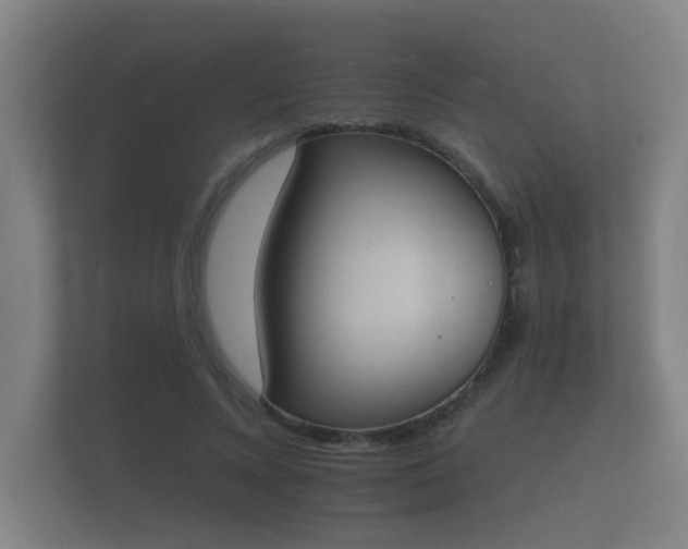 X0000112140688200908141154