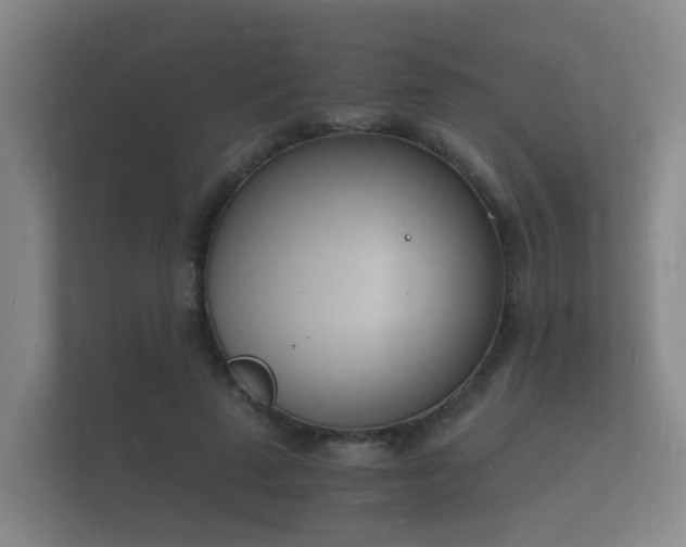 X0000112140689200908141154