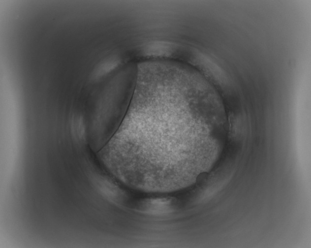 X0000112140692200908141154