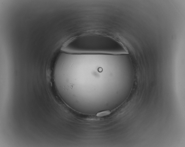 X0000112140693200908141154