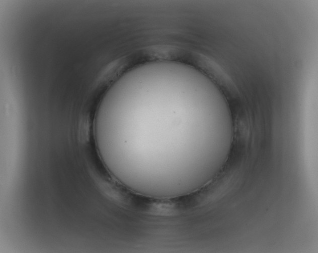 X0000112140694200908141154