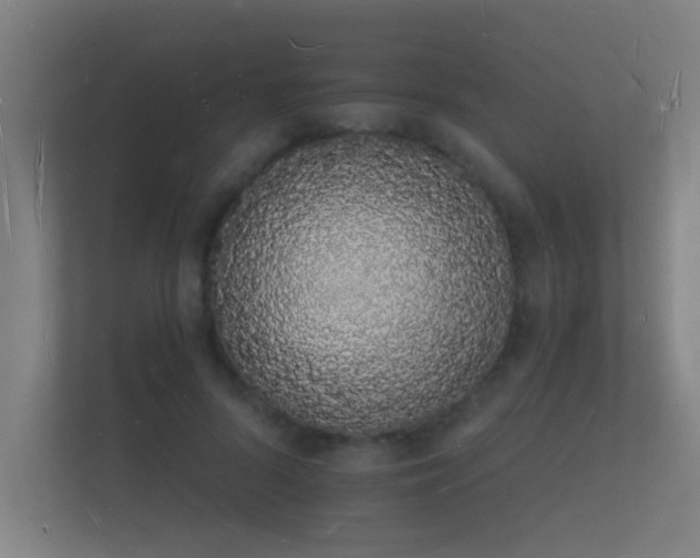 X0000112140696200908141154