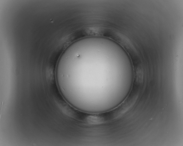 X0000112140699200908141154