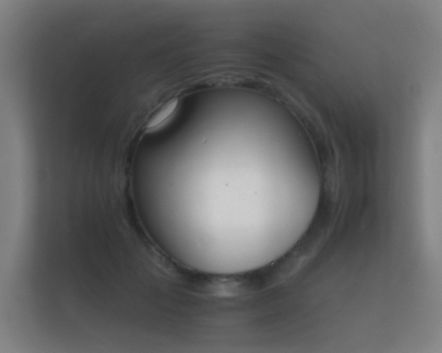 X0000112140701200908141154