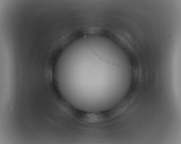 X0000112140703200908141154