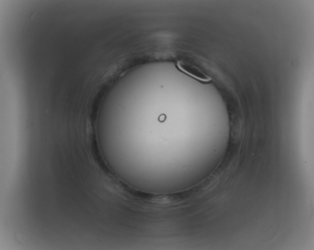 X0000112140704200908141154