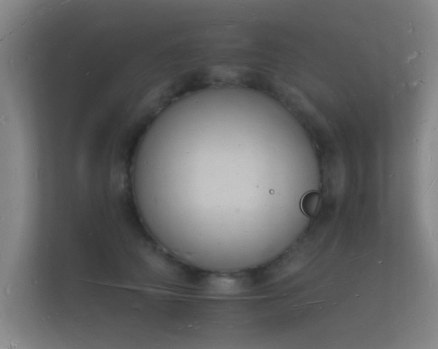 X0000112140706200908141154