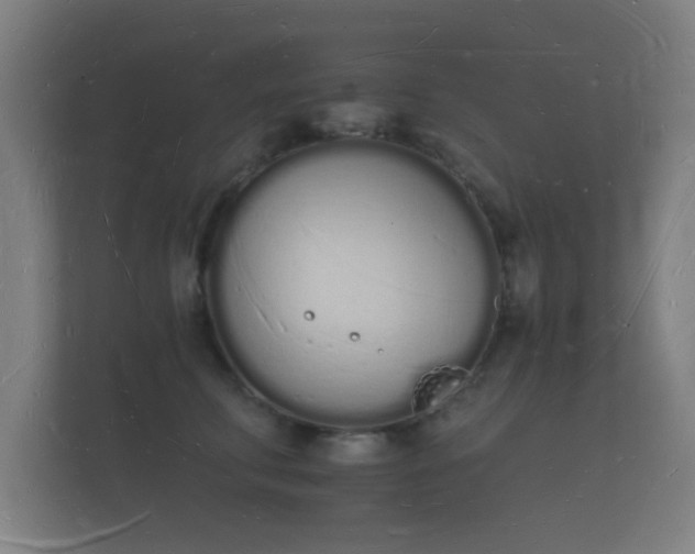 X0000112140711200908141154