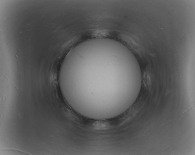 X0000112140714200908141154